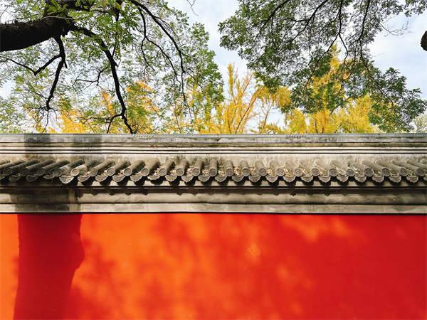 金隅环贸国际公寓798 艺术区