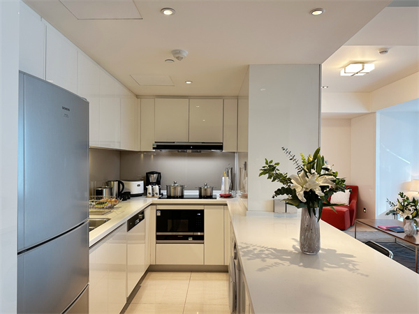 金隅环贸国际公寓2Br148sqm (6).jpg